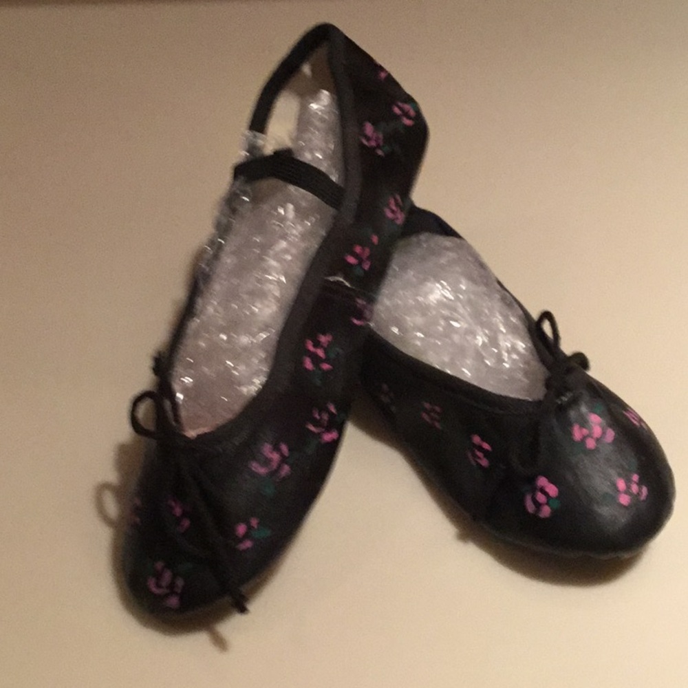 Hand painted ballet shoes.